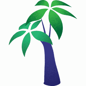 パキラ