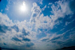 夏の日差し